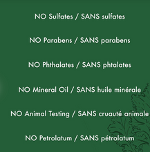 Charger l'image dans la galerie, SHEA MOISTURE Power Greens Shampooing Moringa & Avocado Sans Sulfate