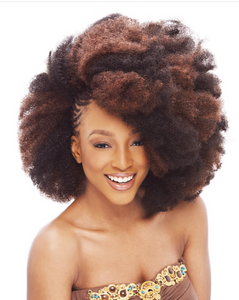 JANET COLLECTION - Noir 2X Afro Kinky Bulk 24"