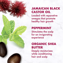 Charger l&#39;image dans la galerie, SHEA MOISTURE Jamaican Black Castor Oil, Strengthen &amp; Restore Conditioner
