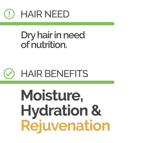 Novex Huile Avocat Conditioner 300g - enrichi de l'huile d'avocat.